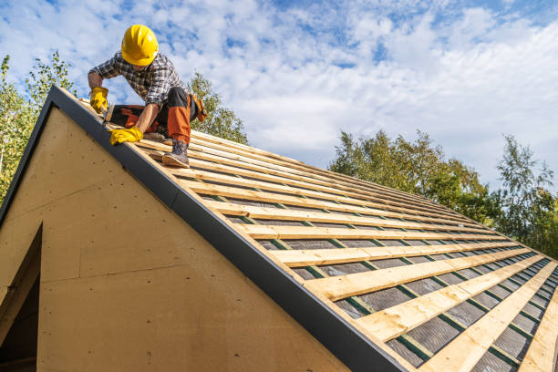 Roof Gutter Cleaning in Kings Grant, NC