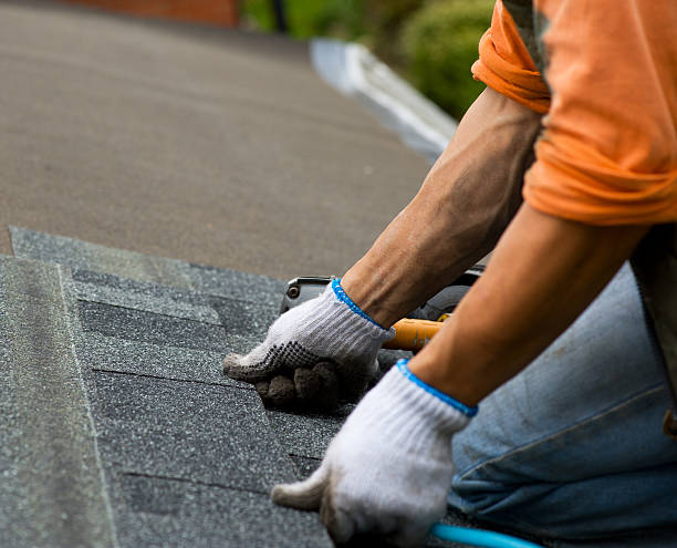 Best Roof Gutter Cleaning  in Kings Grant, NC